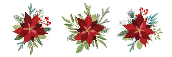 Kerstset met Poinsettia Bloemen en Kerstmis Bloemen Elementen — Stockvector