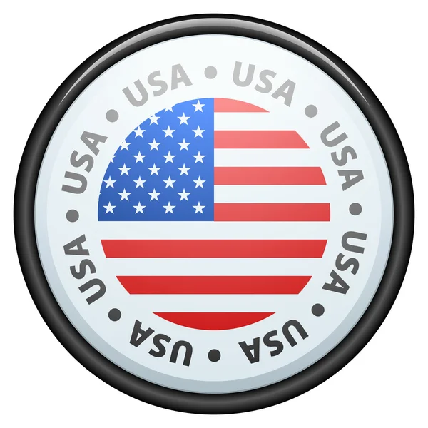 USA flag button — Stock Vector