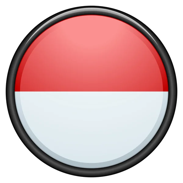 Indonesia flag button — Stock Vector