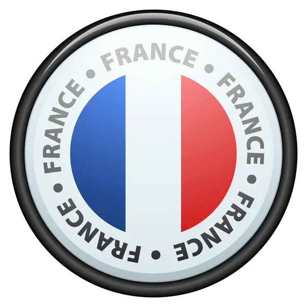 France flag button — Stock Vector