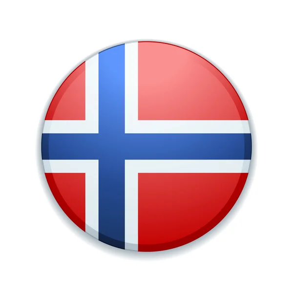 Norway flag button — Stock Vector