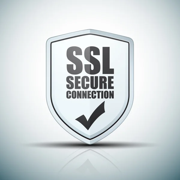 SSL beveiligde verbinding — Stockvector