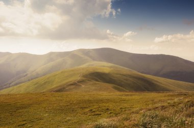 Güzel Polonina Borzava 
