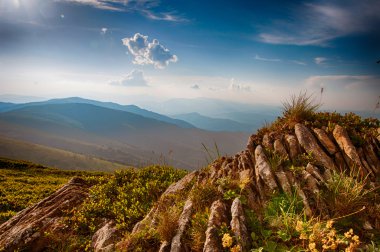 Polonina Borzava, Karpatlar