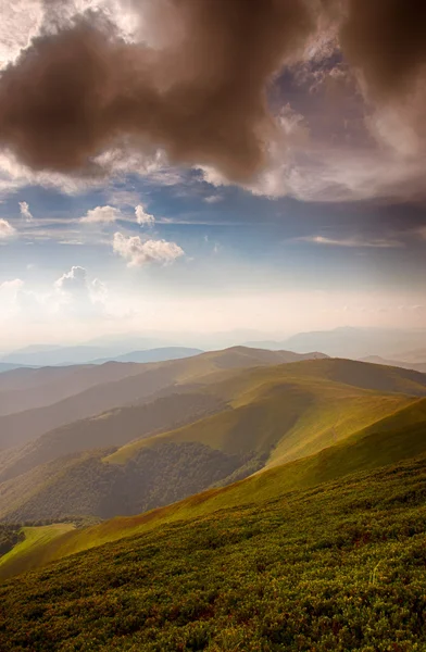 Полонина Борзава, Карпаты — стоковое фото