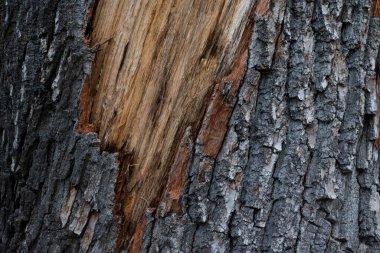 Soyut Kare Arkaplan, Sanat vektörü illüstrasyonu