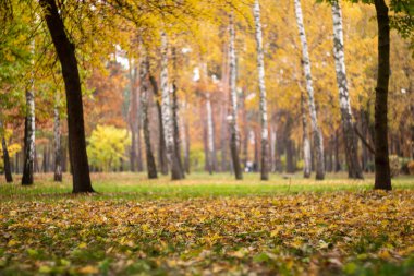 Noktalı Soyut Çapraz Desen, Logo üretken hesaplama sanatı çizimi