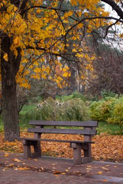 Noktalı Soyut Çapraz Desen, Logo üretken hesaplama sanatı çizimi