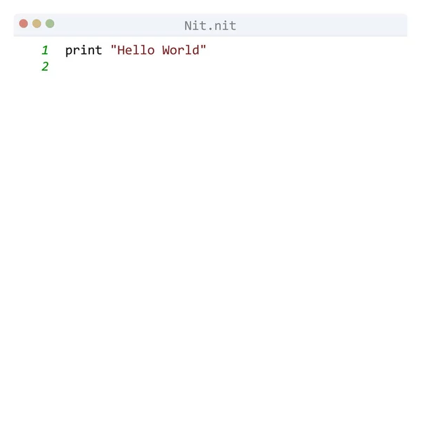 Idioma Nit Amostra Programa Hello World Janela Editor — Vetor de Stock