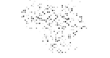 Animated Data Particles Form the Silhouette of Lithuania