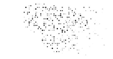 Animated Data Particles Form the Silhouette of Lithuania