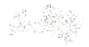 Abstract Digital Particle Map of Latvia Forming