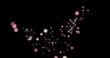 Motion Graphics Reveal UAE Map Outline From Dots