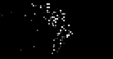 Digital Particle Trajectory Forming the Outline of Moldova Video