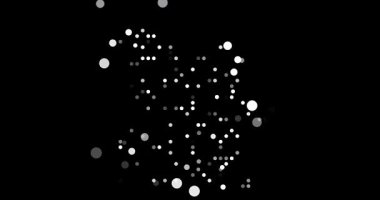 Dynamic Particle Map of Angola Forming from Falling Circles