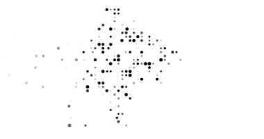 Flowing Particle Animation Forming Montenegro Shape