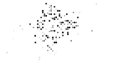 Generative Particle Animation Revealing Montenegro Map Through Flying Dots