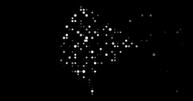 Glowing Dots Converging to Reveal Montenegro Silhouette Particle Animation