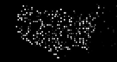 Birleşik Devletler 'in Dijital Düşen Parçacık Şekli Haritası