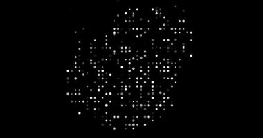 Nauru Ulus Şeklinin Dinamik Parçacık Haritası Çözülmesi