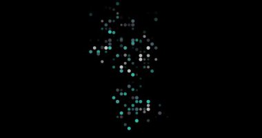 Dynamic Circle Animation Forming Guyana Shape