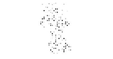 Dynamic Circle Animation Forming Guyana Shape