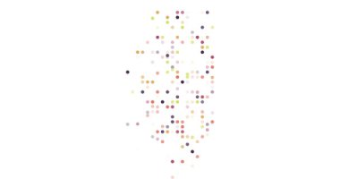 Illinois Düşen Daireler 'den Dinamik Parçacık Haritası