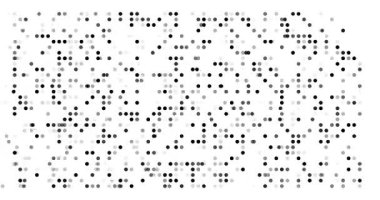 Dijital Parçacık Akımı Kansas Eyaleti Düzeni