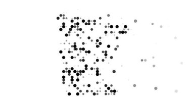 Profesyonel Noktalar Minnesota Parçacık Özet Formasyonu