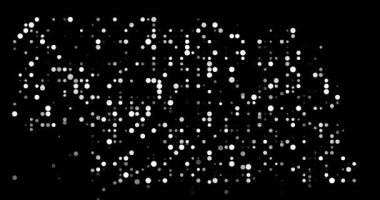 Dijital Parçacık Yapısı Nebraska Harita Şekline Düşüyor