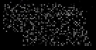 Nebraska Eyaleti Şeklinin Dinamik Düşen Çemberleri Görselleştirmesi