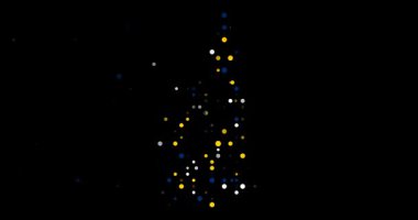 Dijital Parçacık Matriksi Düşen Noktalardan New Hampshire Haritasını Oluşturuyor