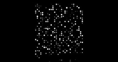 Dinamik Parçacık Haritası New Mexico State Outline 'ı oluşturuyor