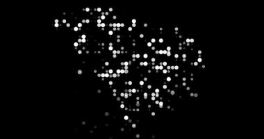 Güney Carolina eyalet haritasını oluşturan En Küçük Parçacık Hareketi