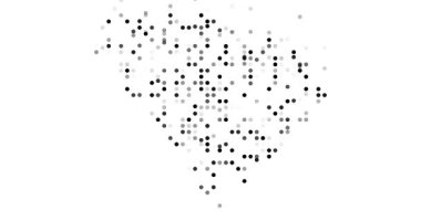 Güney Carolina eyalet haritasını oluşturan En Küçük Parçacık Hareketi