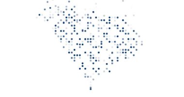 Güney Carolina eyalet haritasını oluşturan En Küçük Parçacık Hareketi