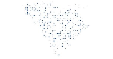 Güney Carolina eyalet haritasını oluşturan En Küçük Parçacık Hareketi