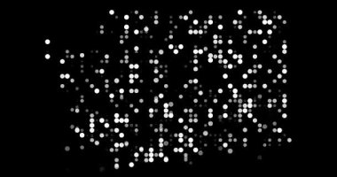 Washington Eyaleti Dinamik Parçacık Haritası