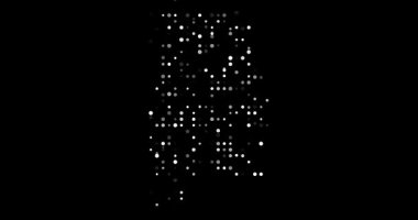 Alabama Eyaleti Şeklini Yaratan Dinamik Nokta Parçacıkları