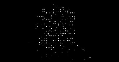 Veri Görselleştirme Parçacığı Alaska Eyaleti ŞekliName