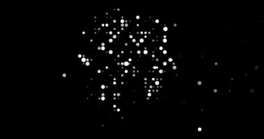 Profesyonel Noktalar Parçacık Alaska Özet Formasyonu