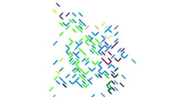 Angola Haritası Oluşturan Değişken Çapraz Elementler