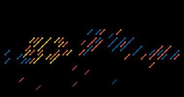 Dijital Çapraz Hareket Gambiya Şeklini İnşa Eder