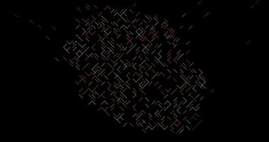 Dynamic Diagonal Assemble Reeunion Siluet Canlandırması