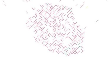 Dynamic Diagonal Assemble Reeunion Siluet Canlandırması