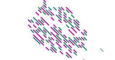 Dynamic Diagonal Assemble Reeunion Siluet Canlandırması