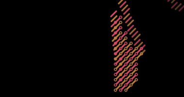 Dynamic Diagonal Assemble Reeunion Siluet Canlandırması