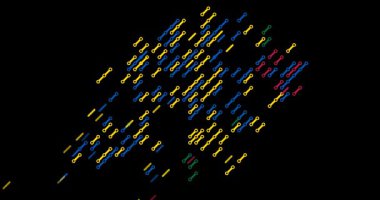 Geçiş Efekti Hong Kong Haritası için Çapraz Açıklama