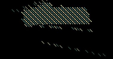 Polonya Haritası Oluşturan Dinamik Çapraz Çizgiler