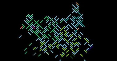 Güney Sudan Şeklini Gösteren Çapraz Çizgili Canlandırma